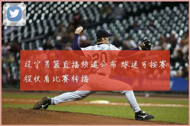 辽宁男篮直播频道公布 球迷可按赛程收看比赛转播