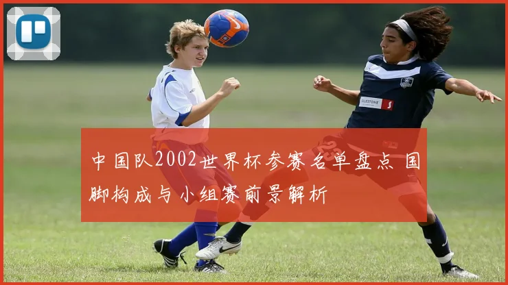 中国队2002世界杯参赛名单盘点 国脚构成与小组赛前景解析