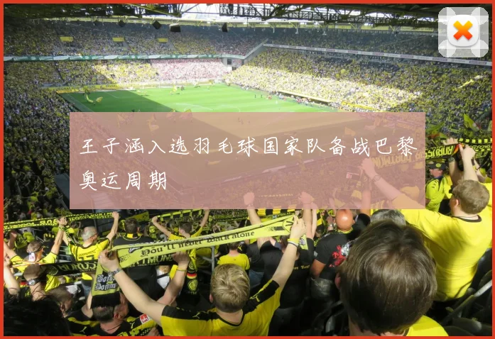 王子涵入选羽毛球国家队备战巴黎奥运周期