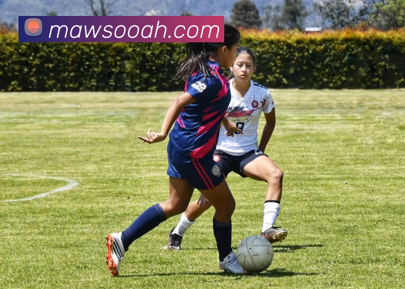 数据防护可视化